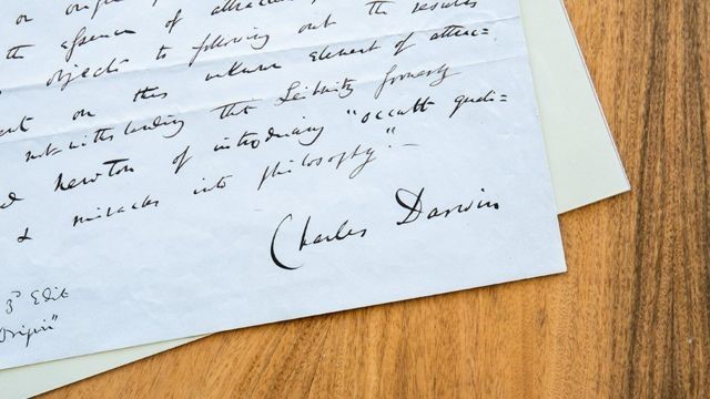 darwin