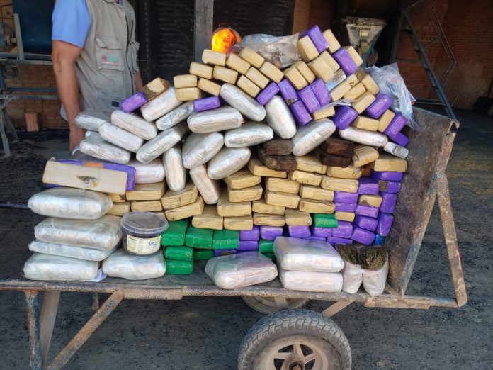 policia-civil-incinera-mais-de-200kg-de-drogas