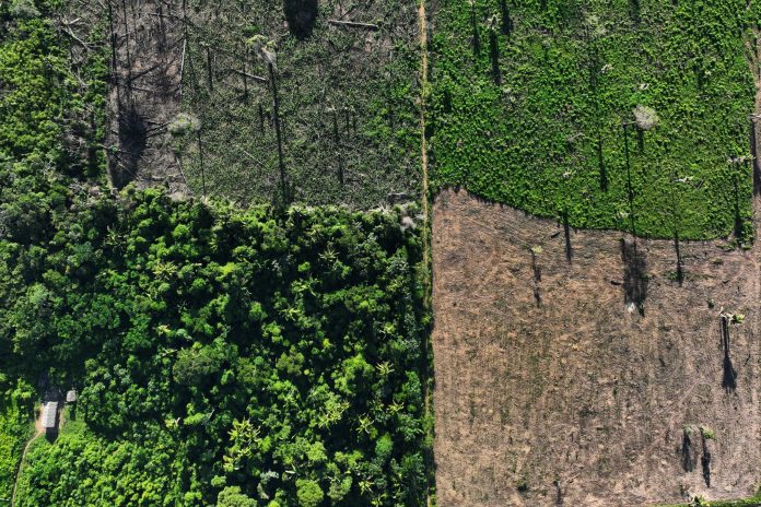 2023-01-20t024203z-56720984-rc2tty95dmys-rtrmadp-3-brazil-environment-1-scaled