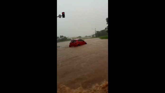 chuva-palmas-2
