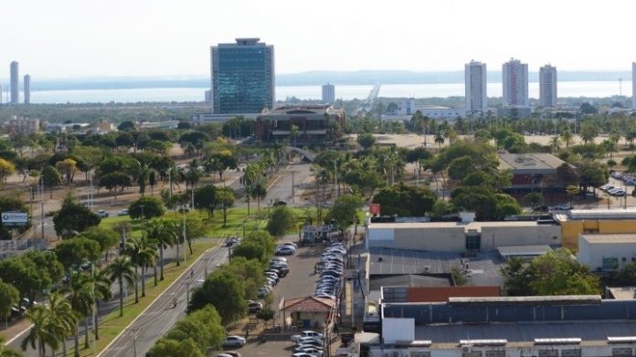 palmas-luciana-pires