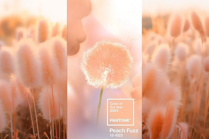 pantone-2024