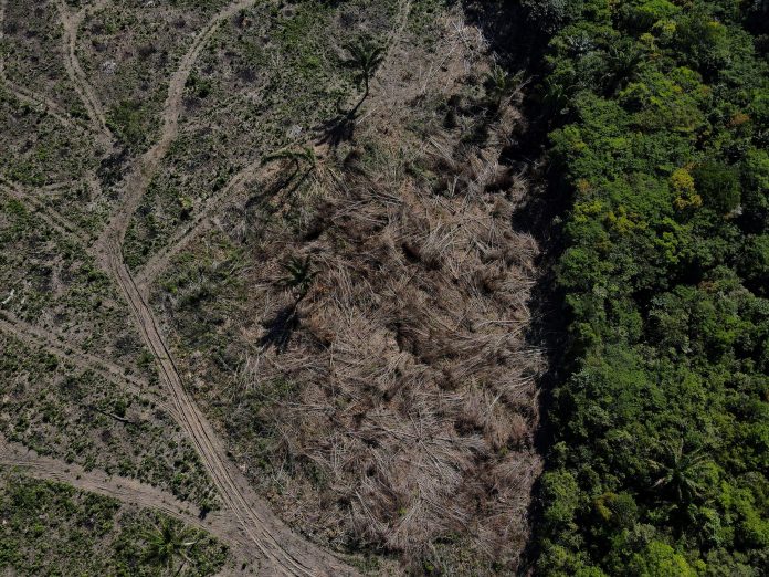 2022-10-07t171259z-1021400778-rc2l7v9lsv3p-rtrmadp-3-brazil-environment-scaled