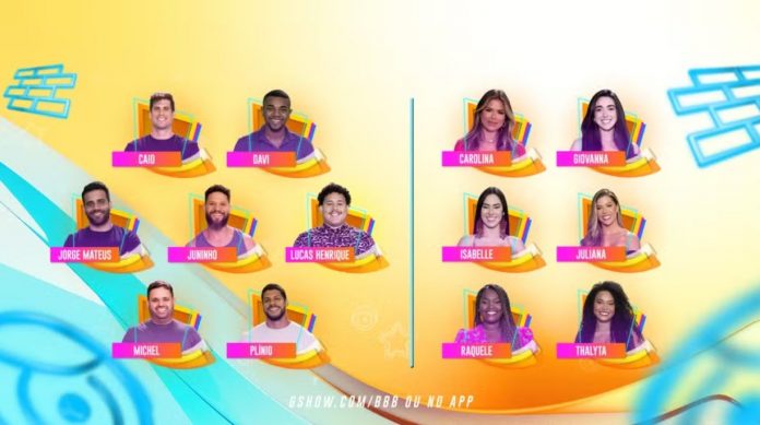 treze-particiapntes-bbb-1