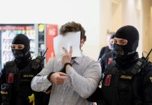 Austríaco se declara culpado por ataque frustrado a show de Taylor Swift em Viena