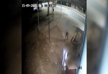 Suspeitos confraternizam após matar jovem em Palmas, diz delegado; VÍDEO