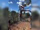 Saiba qual é o modelo e quanto vale o helicóptero de Henrique e Juliano que caiu em fazenda no Tocantins