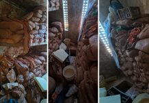 Três presos são suspeitos de cavar túnel em presídio no Tocantins; investigação apura entrada de materiais