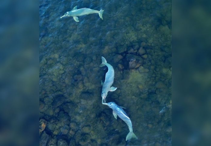 foto-e-montagem-vertical-2-