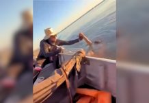 ‘Deus enviou a gente para aquele local’, diz pescador após resgate de homem no lago de Palmas