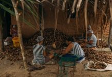 Quebradeiras de coco babaçu do TO comemoram reconhecimento da atividade como manifestação cultural