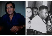 Além das novelas: Benedito Ruy Barbosa também escreveu primeira biografia de Pelé